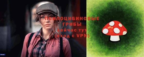 прущий лед Александровское
