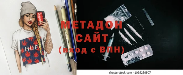 прущие грибы Верея