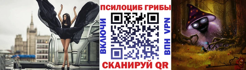 хочу наркоту  Александровск  Псилоцибиновые грибы Magic Shrooms 